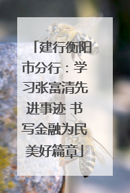 建行衡阳市分行：学习张富清先进事迹 书写金融为民美好篇章